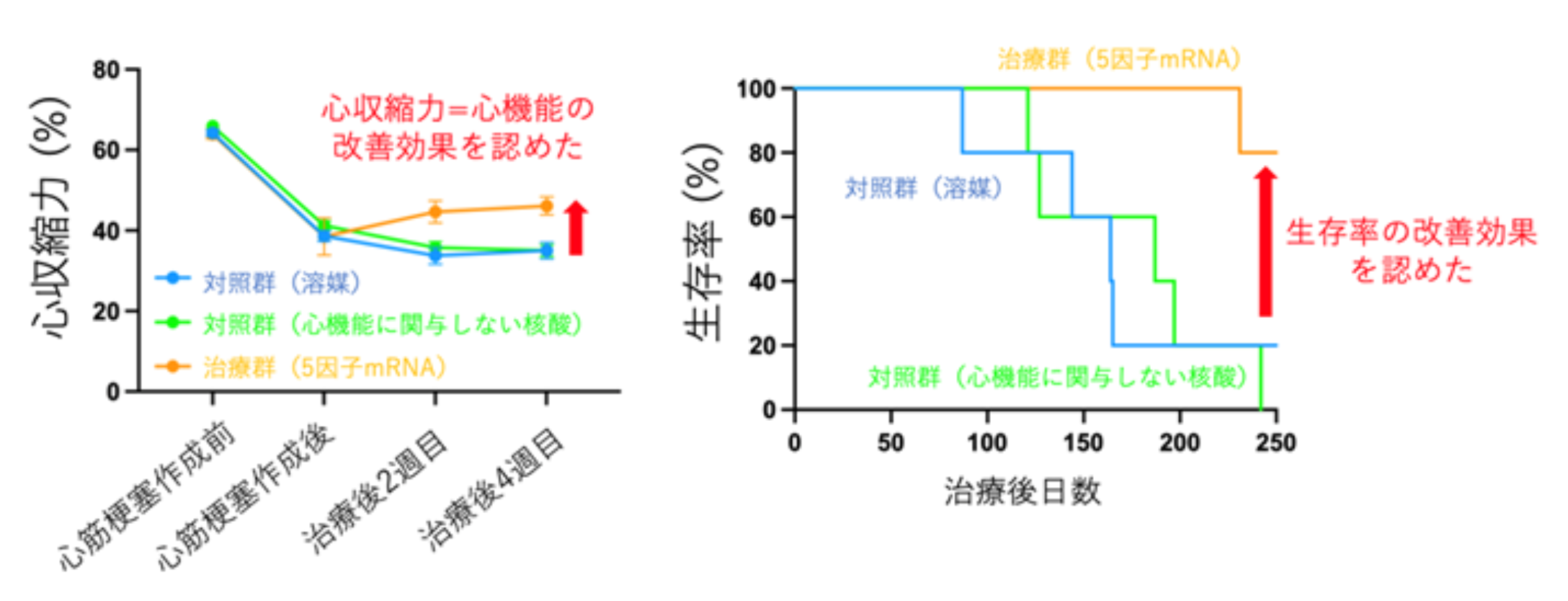 20260529_1_3.png